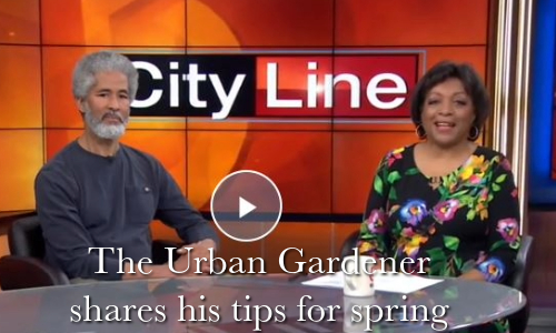 The Urban Gardener Shares Tips for Spring Video